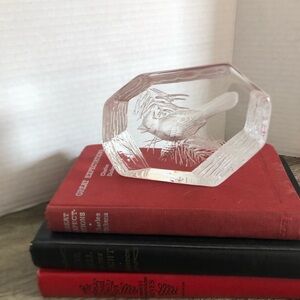Vtg Dartington Capredoni Art Glass Bird Paperweight Decor